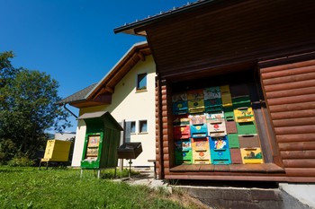 Brode Beekeepers House <em>Foto: Sašo Kočevar</em>