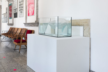 Contemporary Ceramic Art from the National Museum of Slovenia <em>Foto: Lucija Rosc</em>