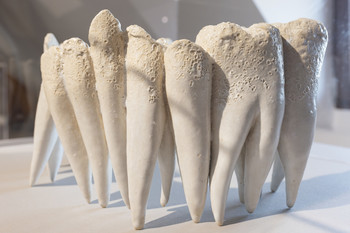 Contemporary Ceramic Art from the National Museum of Slovenia <em>Foto: Lucija Rosc</em>