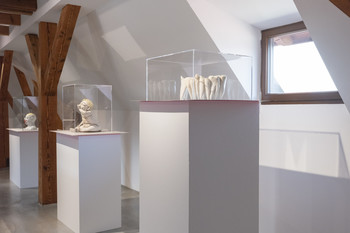 Contemporary Ceramic Art from the National Museum of Slovenia <em>Foto: Lucija Rosc</em>