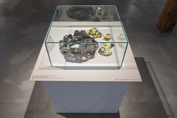 Contemporary Ceramic Art from the National Museum of Slovenia <em>Foto: Lucija Rosc</em>