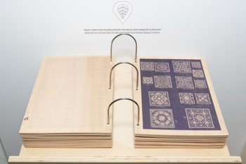 Bobbin Lace in the Žiri Area <em>Foto: Lucija Rosc</em>