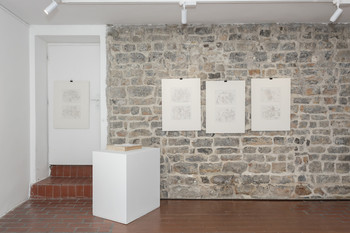 Time Captured in the Drawings by Tomaž Kržišnik <em>Foto: Lucija Rosc</em>